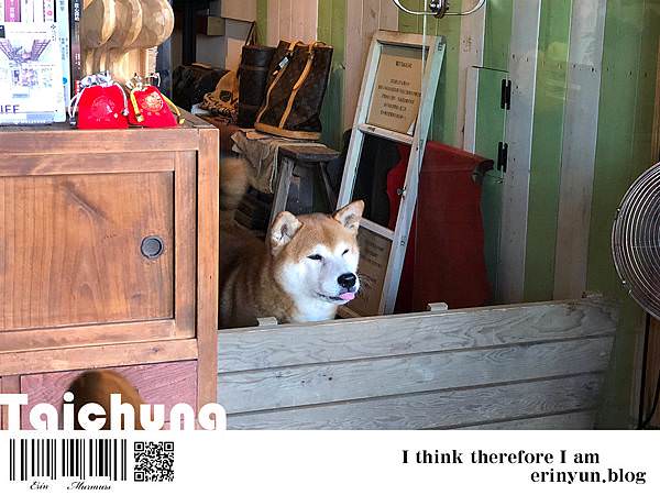 小角6.jpg