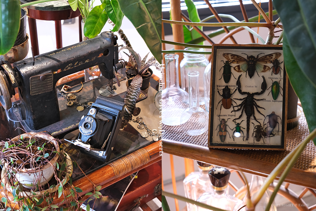 新竹｜給冷鴿手作甜點 新竹店｜用甜點  慢慢把厭世人生變溫柔 拿拿摳與好友多多的甜點新篇章 新開幕