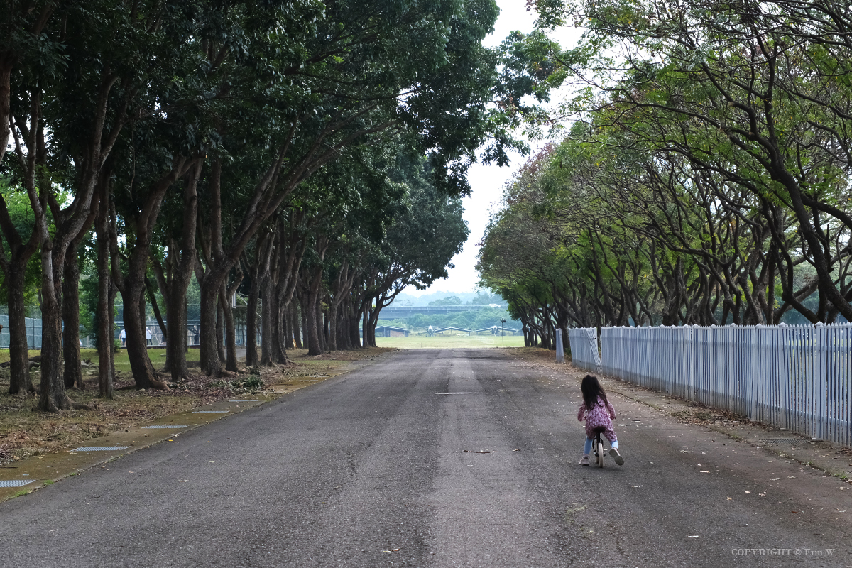 雲林・古坑｜翠華會館｜坐落在校園裡的靜謐度假會館 擁抱山色、咖啡香與親近自然的慢旅時光
