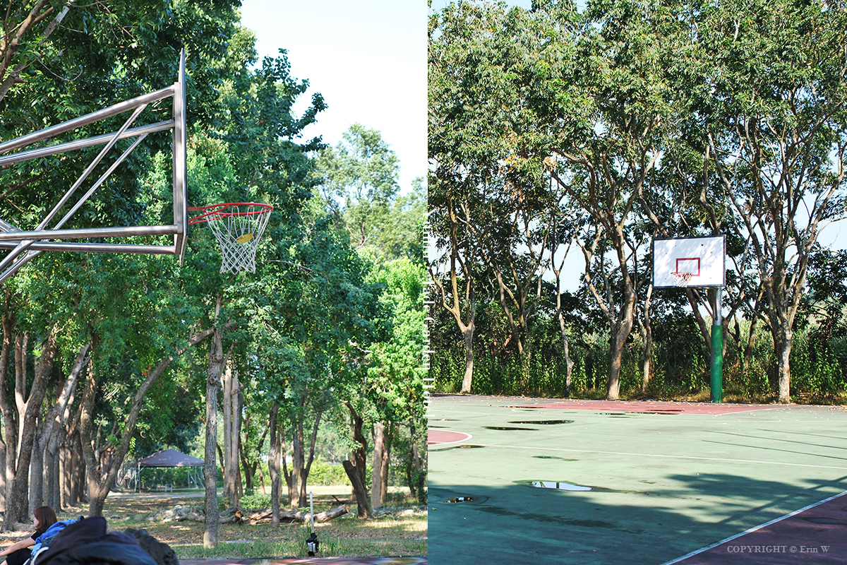 雲林・古坑｜翠華會館｜坐落在校園裡的靜謐度假會館 擁抱山色、咖啡香與親近自然的慢旅時光