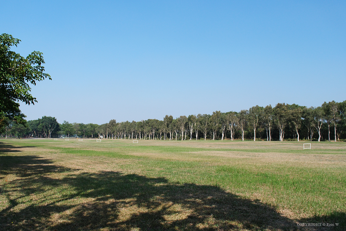 雲林・古坑｜翠華會館｜坐落在校園裡的靜謐度假會館 擁抱山色、咖啡香與親近自然的慢旅時光