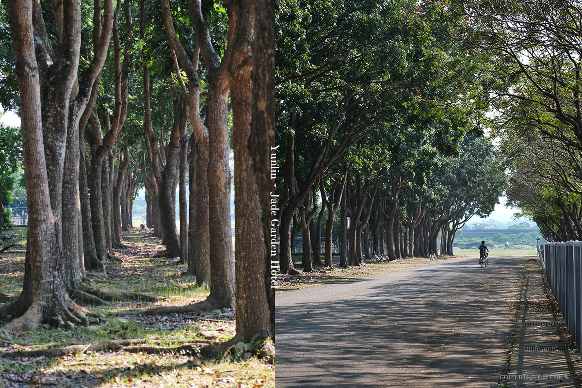 雲林・古坑｜翠華會館｜坐落在校園裡的靜謐度假會館 擁抱山色、咖啡香與親近自然的慢旅時光