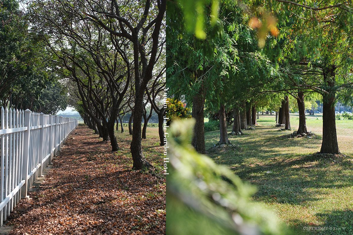 雲林・古坑｜翠華會館｜坐落在校園裡的靜謐度假會館 擁抱山色、咖啡香與親近自然的慢旅時光