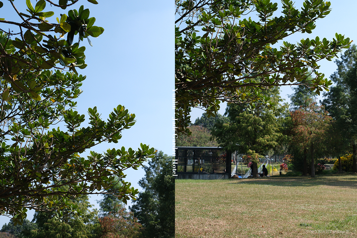 雲林・古坑｜翠華會館｜坐落在校園裡的靜謐度假會館 擁抱山色、咖啡香與親近自然的慢旅時光
