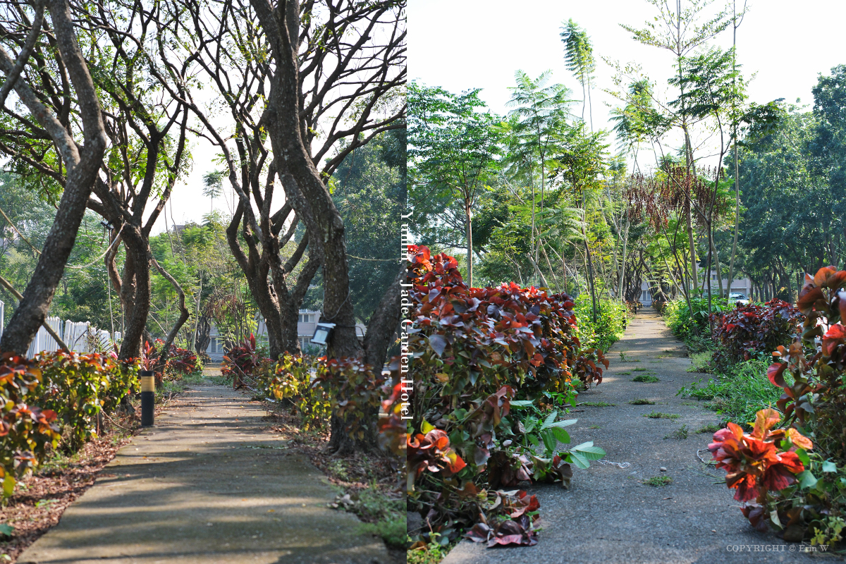 雲林・古坑｜翠華會館｜坐落在校園裡的靜謐度假會館 擁抱山色、咖啡香與親近自然的慢旅時光
