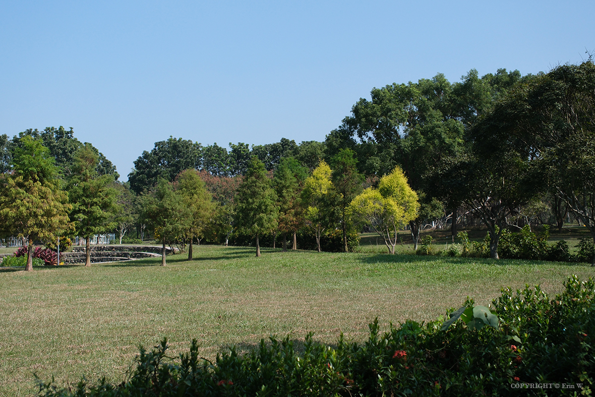 雲林・古坑｜翠華會館｜坐落在校園裡的靜謐度假會館 擁抱山色、咖啡香與親近自然的慢旅時光
