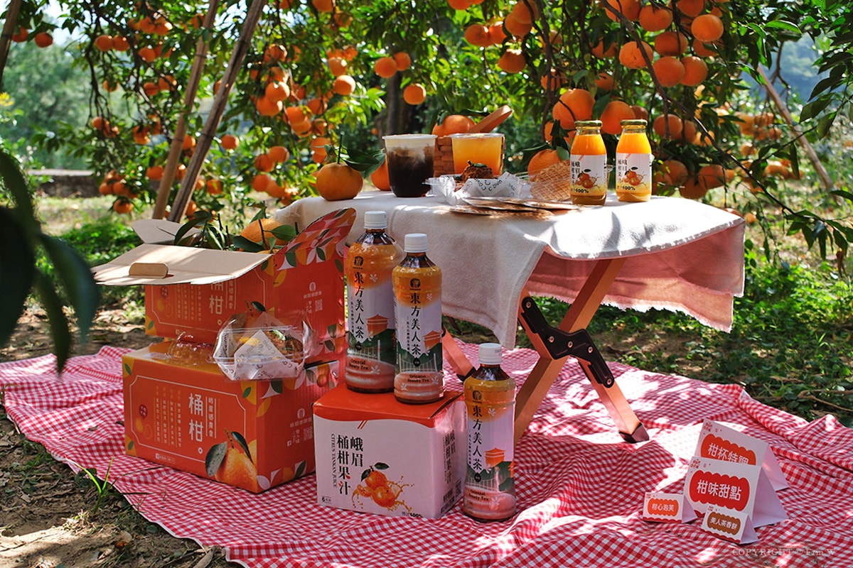2026「柑桔的故鄉」集結新竹縣13鄉鎮 從產地到會場 年節市集亮點整理懶人包 - 第5張圖 2026「柑桔的故鄉」集結新竹縣13鄉鎮 從產地到會場 年節市集亮點整理懶人包