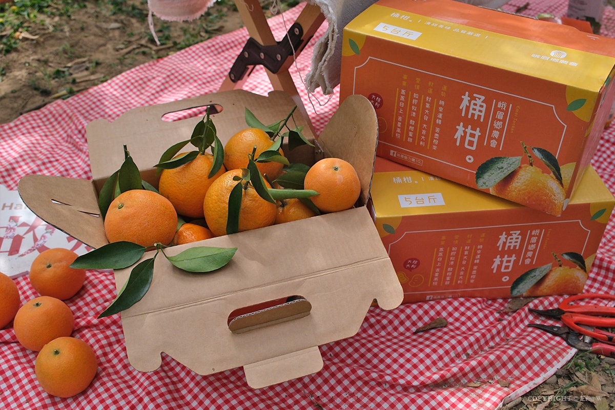 2026「柑桔的故鄉」集結新竹縣13鄉鎮 從產地到會場 年節市集亮點整理懶人包 - 第26張圖 2026「柑桔的故鄉」集結新竹縣13鄉鎮 從產地到會場 年節市集亮點整理懶人包
