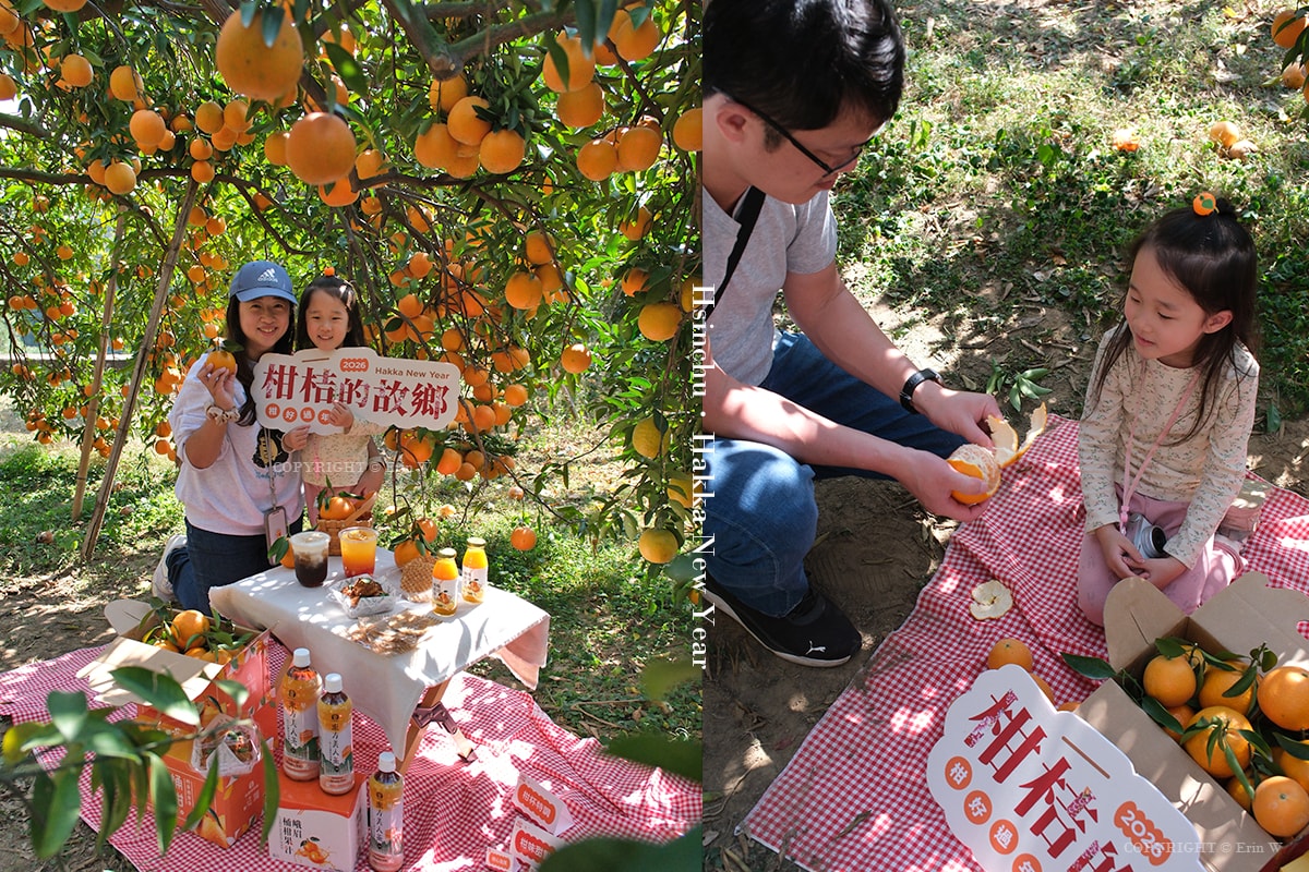 2026「柑桔的故鄉」集結新竹縣13鄉鎮 從產地到會場 年節市集亮點整理懶人包 - 第36張圖 2026「柑桔的故鄉」集結新竹縣13鄉鎮 從產地到會場 年節市集亮點整理懶人包