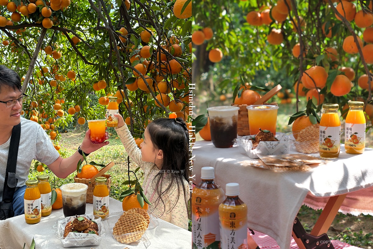 2026「柑桔的故鄉」集結新竹縣13鄉鎮 從產地到會場 年節市集亮點整理懶人包 - 第24張圖 2026「柑桔的故鄉」集結新竹縣13鄉鎮 從產地到會場 年節市集亮點整理懶人包